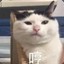 新晋大爷