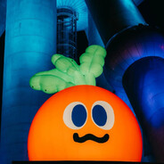 🥕魔魔胡胡胡萝卜🥕