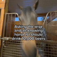 the wise and all-knowing horse