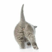 fadasad - steam id 76561198882182505