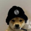 Doge