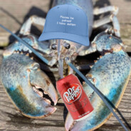GodoLobster