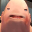 poop