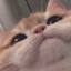◥▶◀◤
