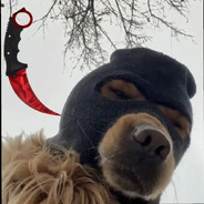 nirk999Viruspleps.pro