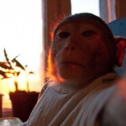 Comp1ex - steam id 76561199006458220