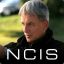 Leroy Jethro Gibbs [CZ]