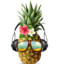ANANAS1K
