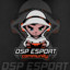 DSP_Esport