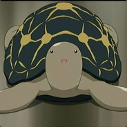 mustard_turtle