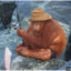 Orangutan Fisherman