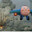 Big ANTONOV R8