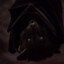 bat