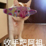 阿祖收手吧外面都是成龙