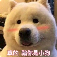 刘德华比我差一点