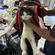 yusuf - steam id 76561199059521726