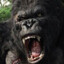 KIng- Kong
