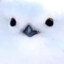 Chilibird