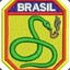 Serpente Maior