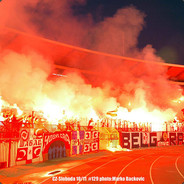 Tomic