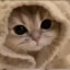 Don_Zaver