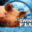 Swine Flu