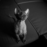 龍神の剣を喰らえ!