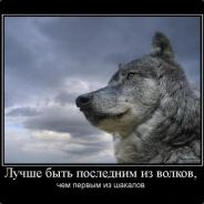 Пуля_в_глаз_ты_лох