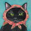 ⋆˙ Babushka Cat ˙⋆