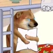 无所谓我会出手