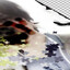 sekairotten