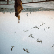 去码头整点薯条