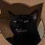 bado-