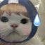 Shida