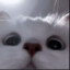 123