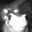Froge