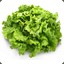 Une Salade de Malade