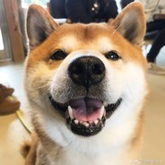 关于我转生到派派被坏女人抓走这档事