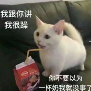 没有猫呀~