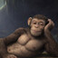 the_comfy_monkey11