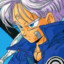 TRUNKS