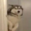 丨时末之