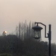 乱花渐欲迷人眼