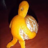 N E G A T O R avatar