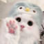 雾里有只猫☆