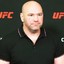 Dana white