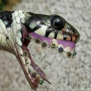 Стоматолог