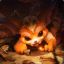 Gnar!!~HUN~