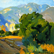 真不戳，真不戳。