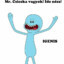 MR.CSICSKA (BANANA)